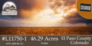 #L11750-1 46.29 Acres in El Paso County CO $48,900.00  ($579.57/ Month)